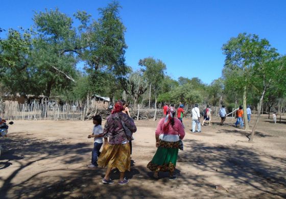 Recuperación de tierras indígenas en el Gran Chaco: una buena noticia para el ambiente
