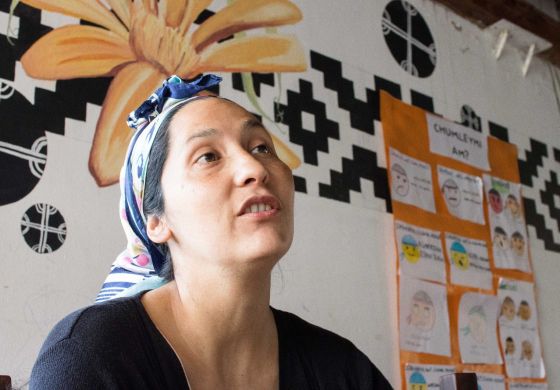 El atropello contra las mujeres mapuche llega a la CIDH