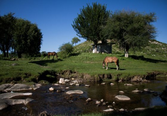 Familias campesinas denuncian a un feedlot en Catamarca