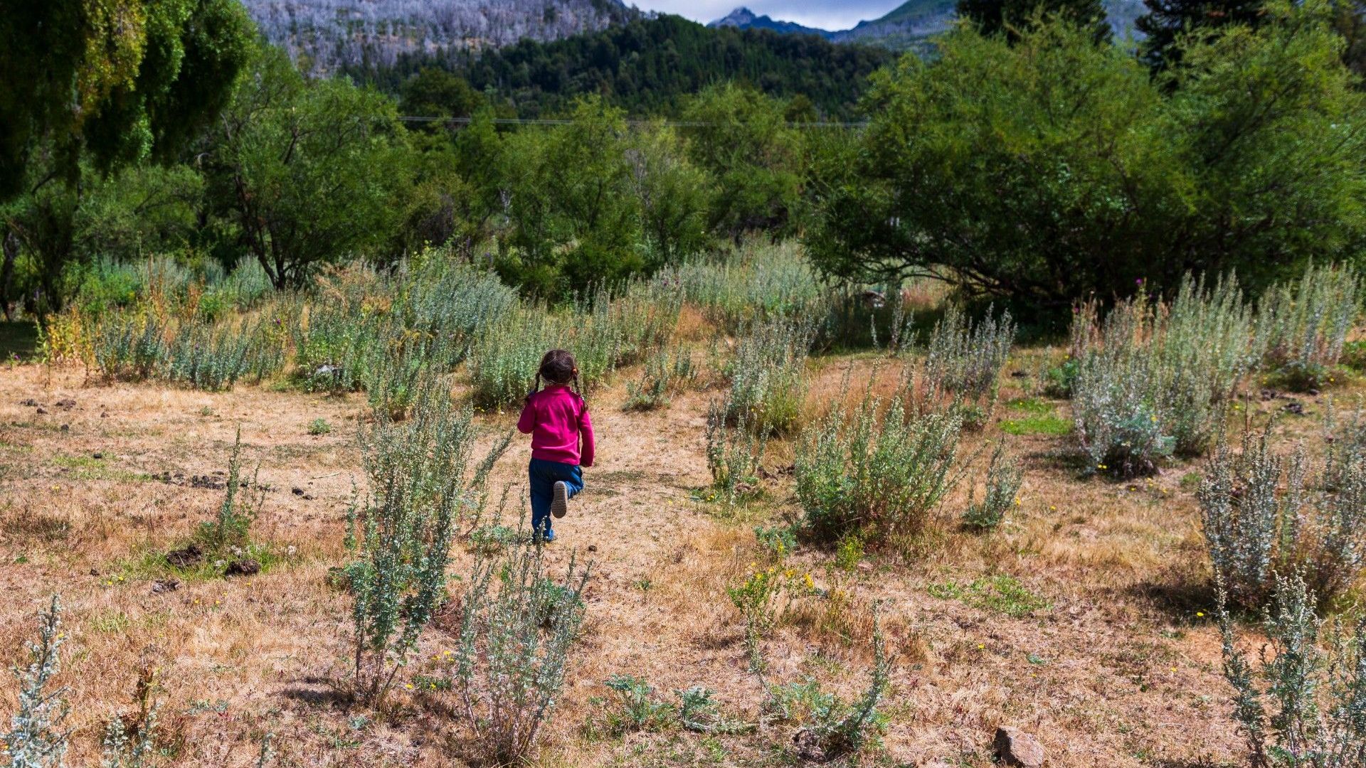 “No vamos a dejar de ser mapuche porque nos desalojen”