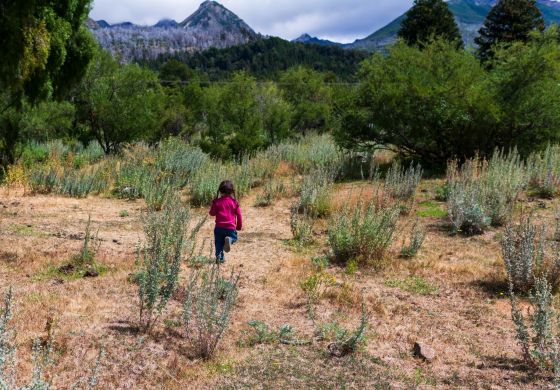 “No vamos a dejar de ser mapuche porque nos desalojen”