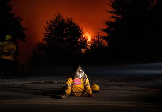 “El Estado Nacional decide no financiar el combate a los incendios”