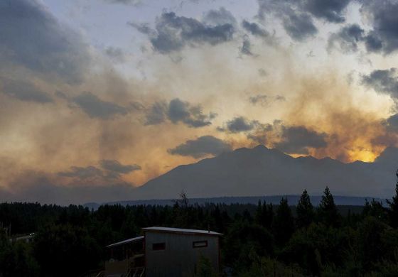 Reconstruir la cultura del bosque andino-patagónico para frenar los incendios