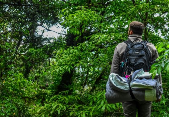 Consejos de viaje ecológicos para el explorador consciente