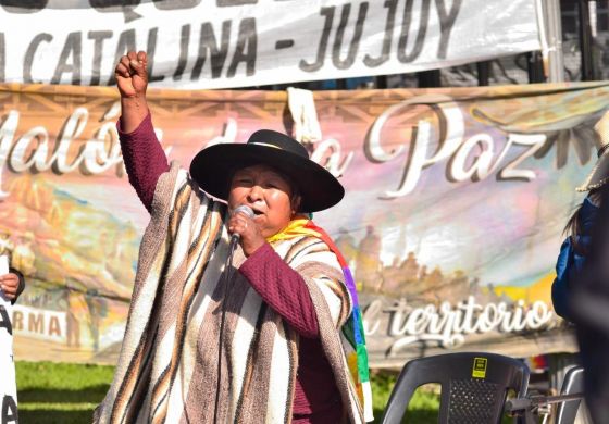 Las voces de la tierra en contra del despojo